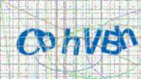 Sikkerhedsforesp&oslash;rgsel (captcha)